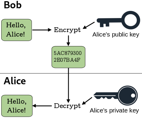 Anyone can encrypt a message with any public key, but only the holder of the paired private key can decrypt it. Bob encrypts a message for Alice using her public key. Alice decrypts it with her private key.